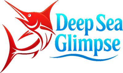 Explore Stunning Ocean Photography & Videos